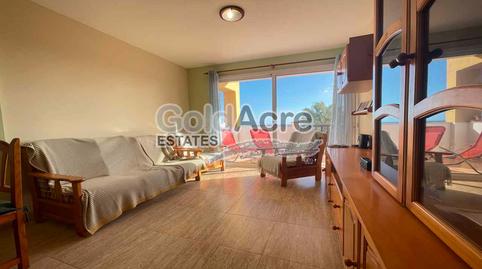 Photo 3 of Attic for sale in Parque Holandés, La Oliva