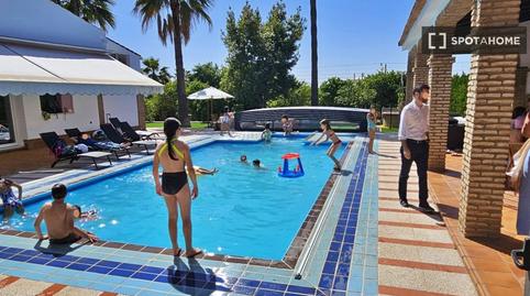 Photo 4 of Apartment to share in Sanlúcar la Mayor, Sevilla