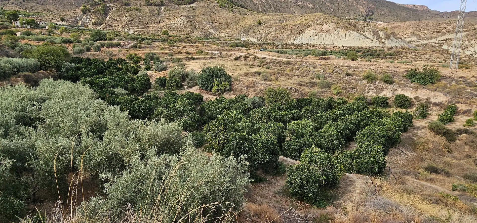 Residencial en venda en Íllar