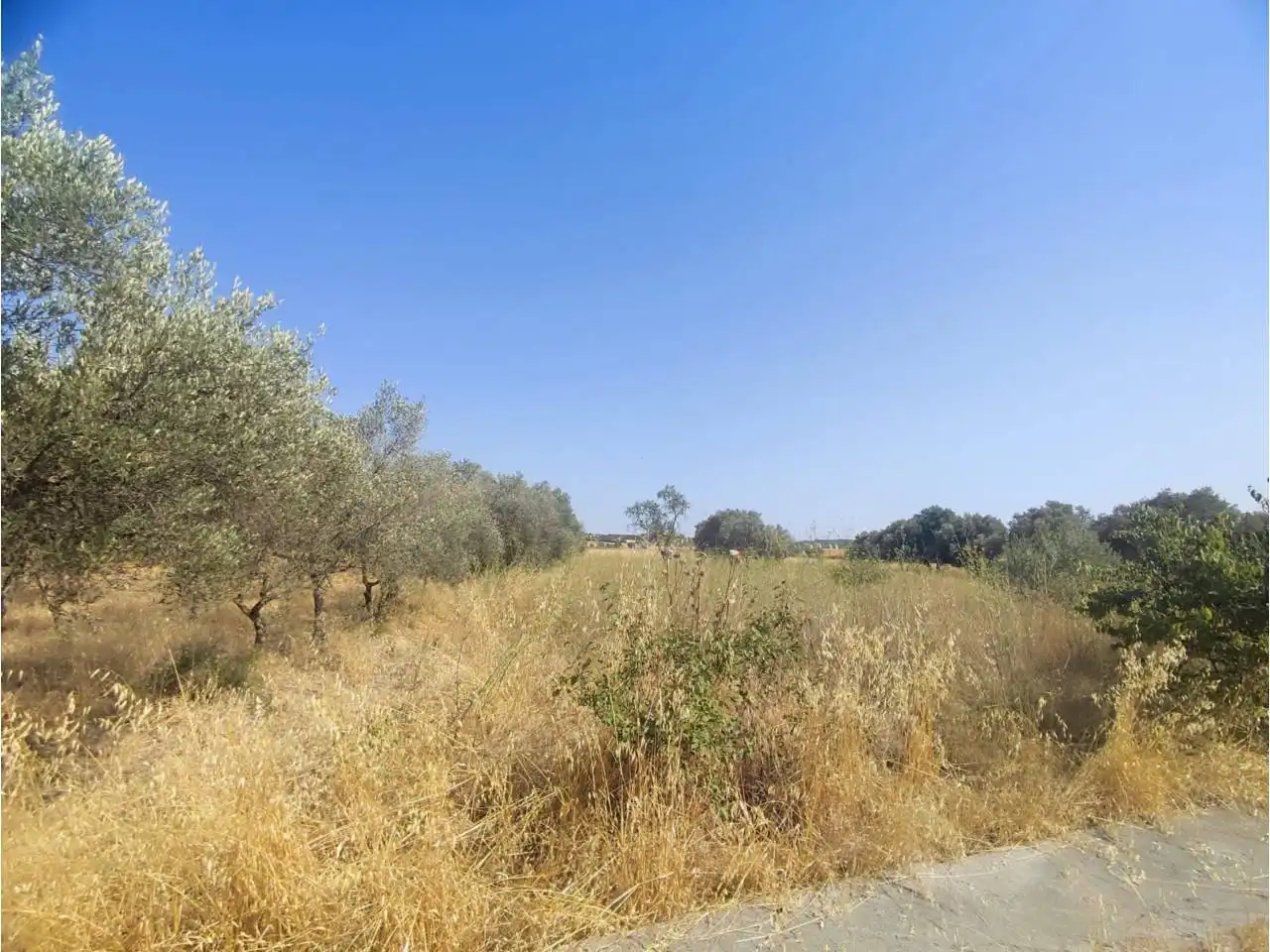 Terreno industrial en venta en Fonz