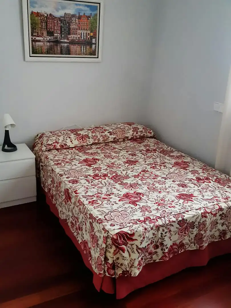 Bedroom of Flat for share in Madrid  with Private garden, Washing machine and TV