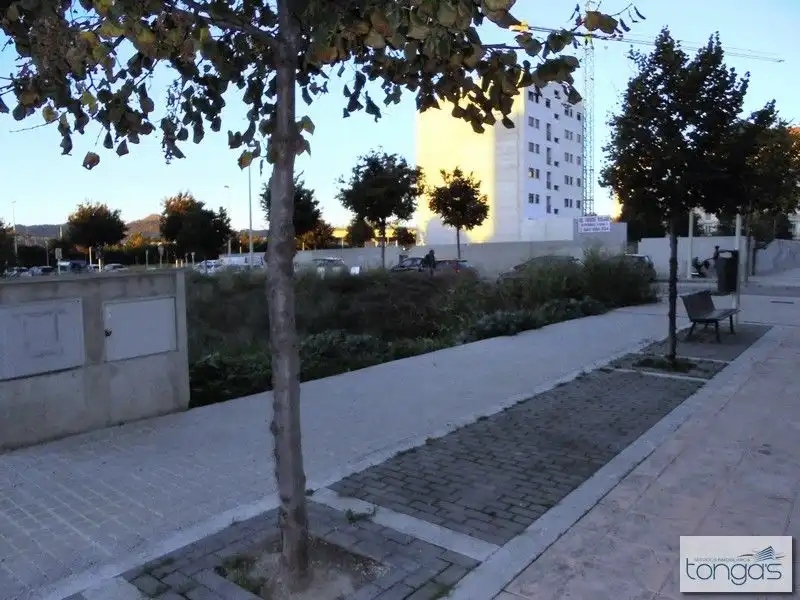 LOCAL OBRA NUEVA EN ZONA MAXIMA EXPANSION, imatge 4