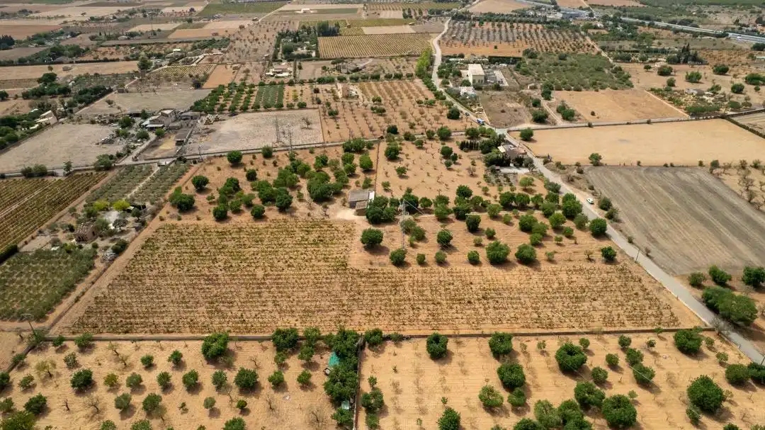 Land for sale in Consell