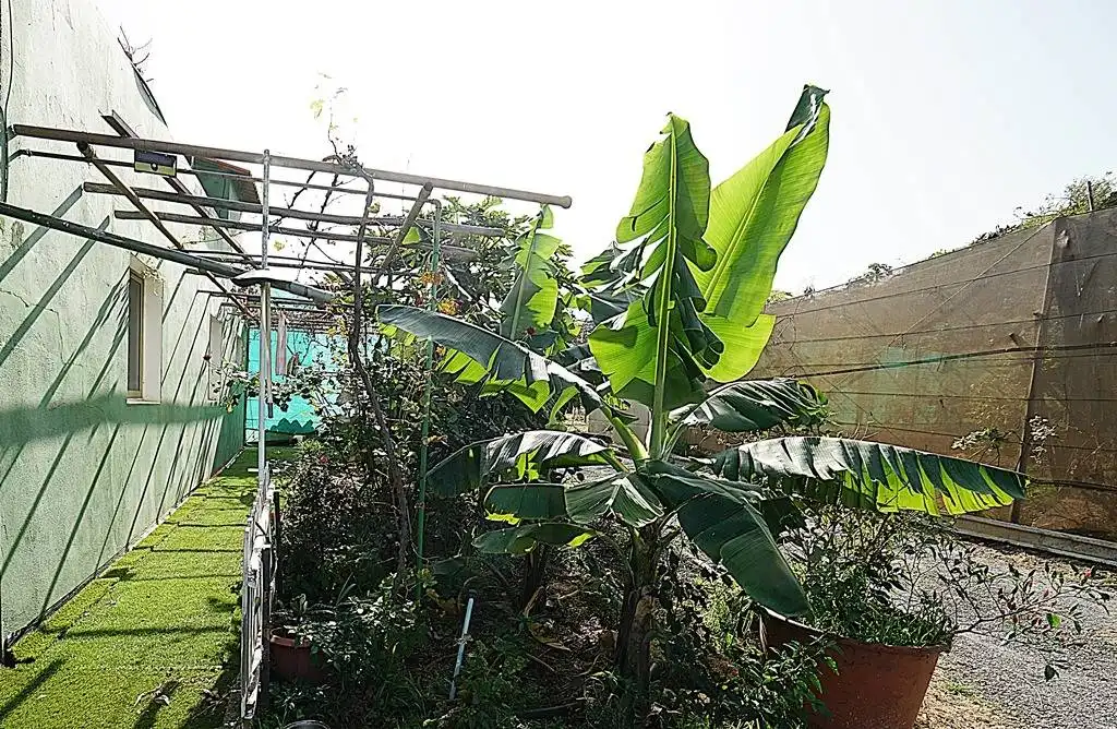 Finca rústica en venta en Camino DEHESA, 10, Santa María de Guía de Gran Canaria