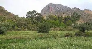 Terreno residenziale in vendita a Calle Levante, imagen 4
