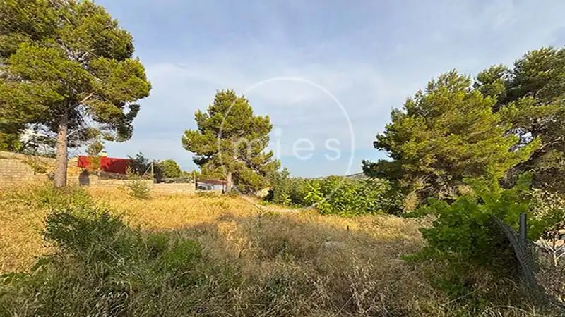 Rural land for sale in Urbanización Altury 0, imagen 10