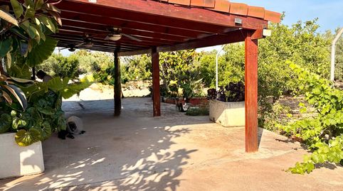 Foto 2 de Finca rústica en venda a Puigmal, Platja de Mont-roig, Mont-roig del Camp