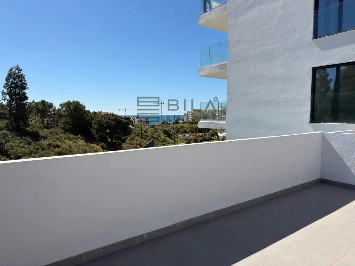 Piso con piscina en venta en Cedro, imagen 19