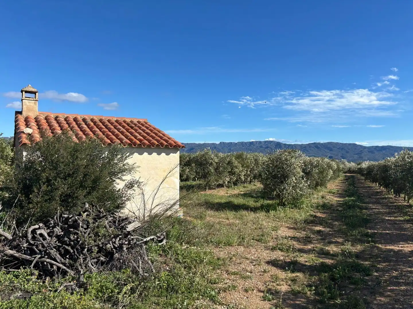 Terrain rustique à vendre à Aldover, imagen 19