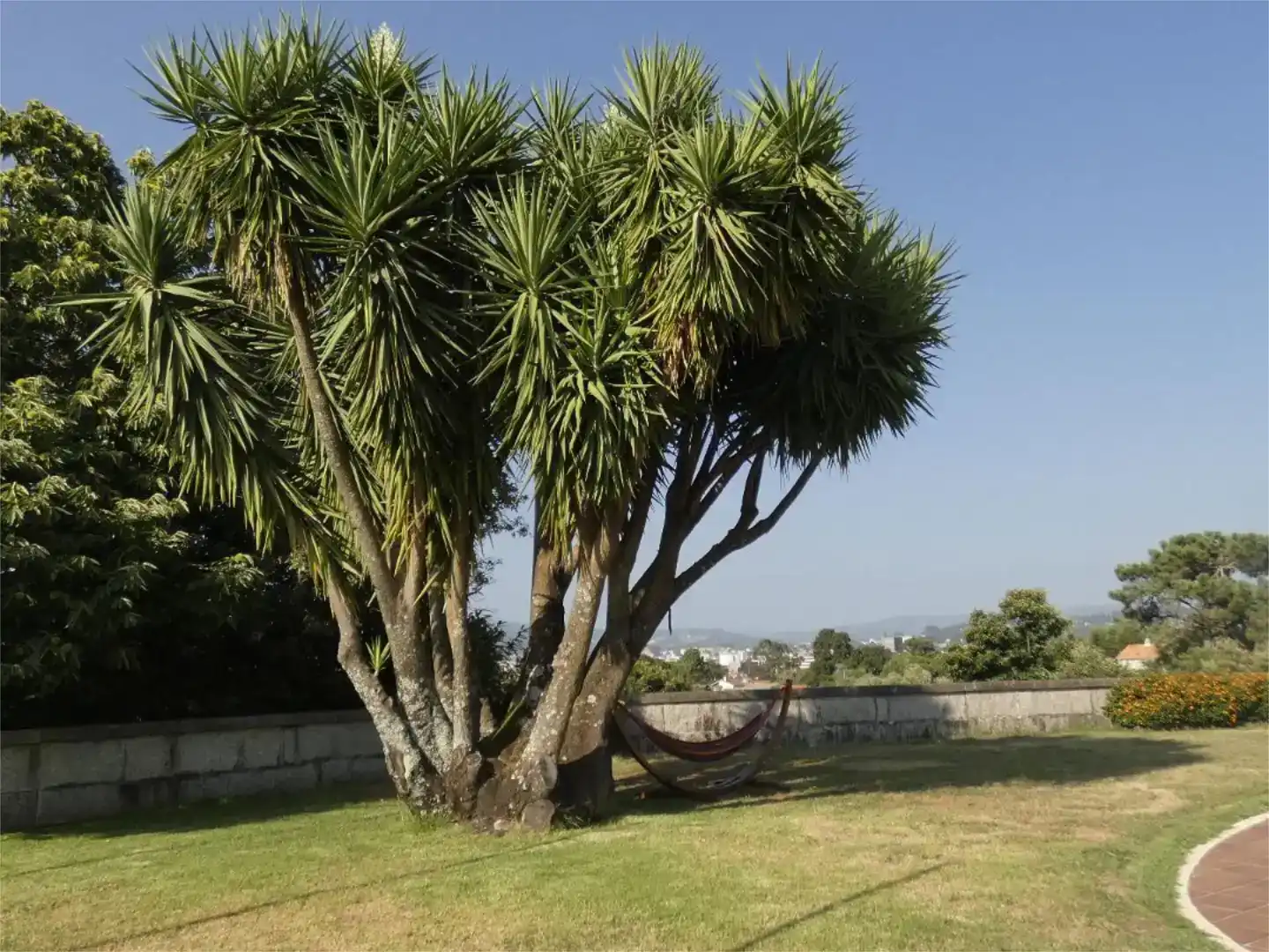 Jardí de Pis en venda en Pontevedra Capital  amb Jardí privat, Parquet i Piscina
