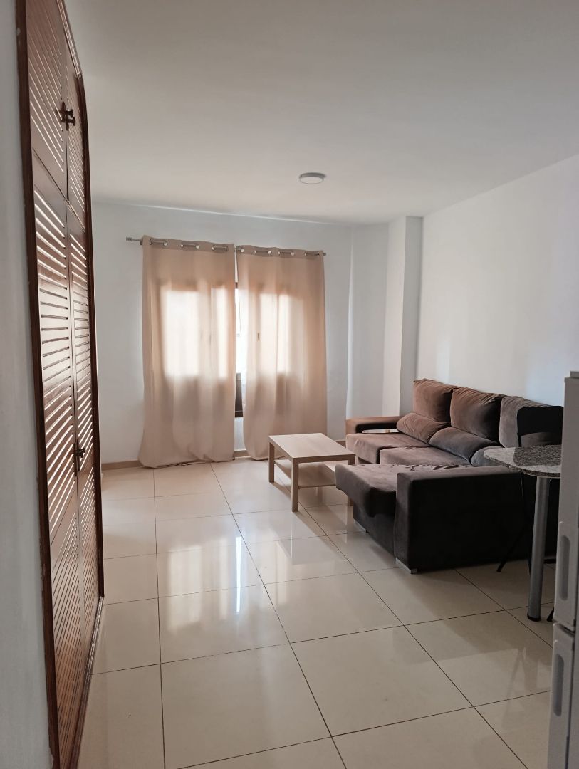 Living room of Flat to rent in Las Palmas de Gran Canaria  with Furnished