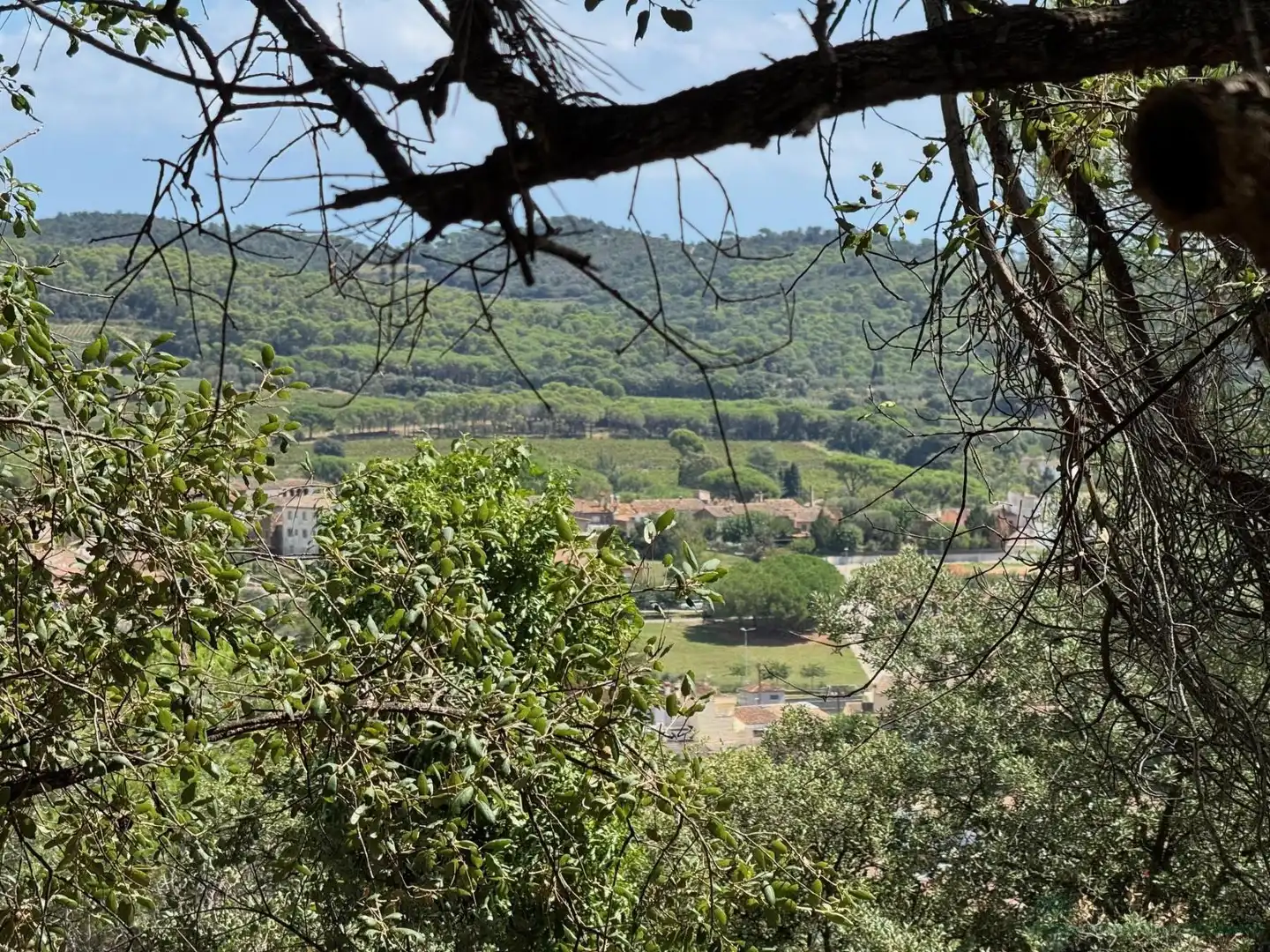Residential land for sale in Bergueda, imagen 6