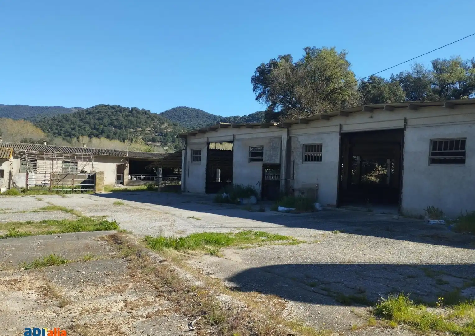 Vista exterior de Finca rústica en venta en Massanes