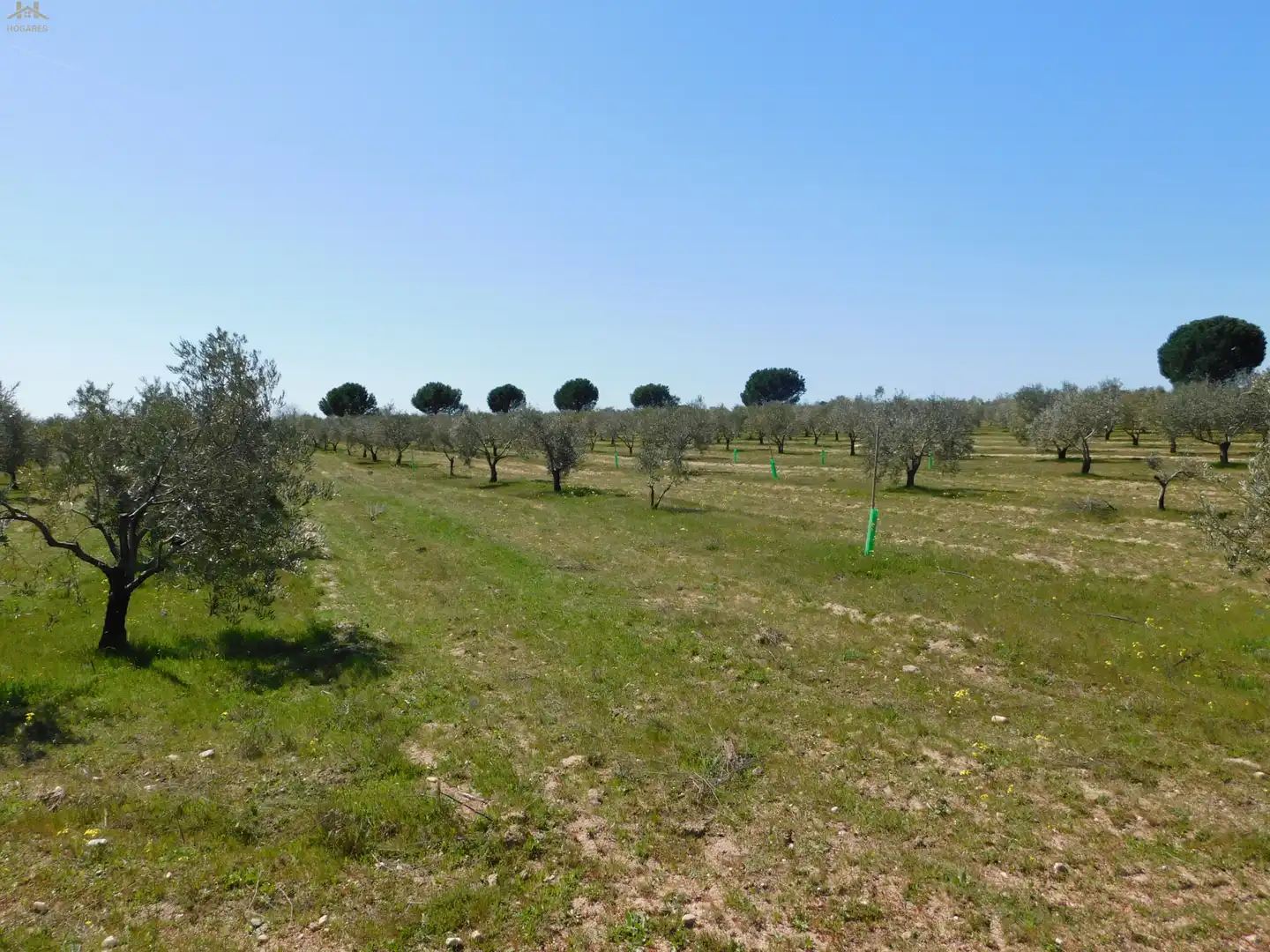 Terreno en venta en Villa del Prado