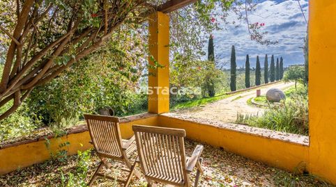 Foto 2 de Finca rústica en venta en Mairena del Alcor, Sevilla
