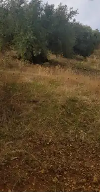 Finca rústica en venda en Villacarrillo