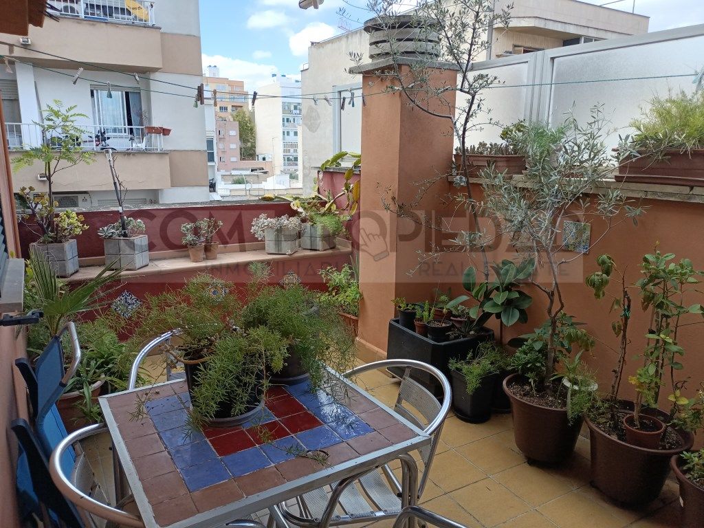 Terrassa de Pis en venda en  Palma de Mallorca