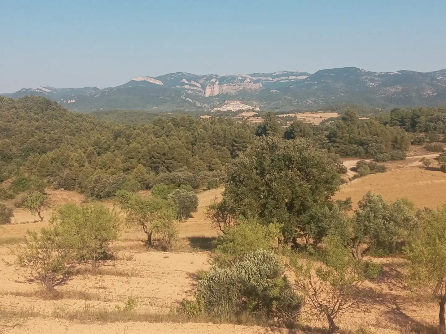 Terreni e lotti in vendita a Monroyo, imagen 2