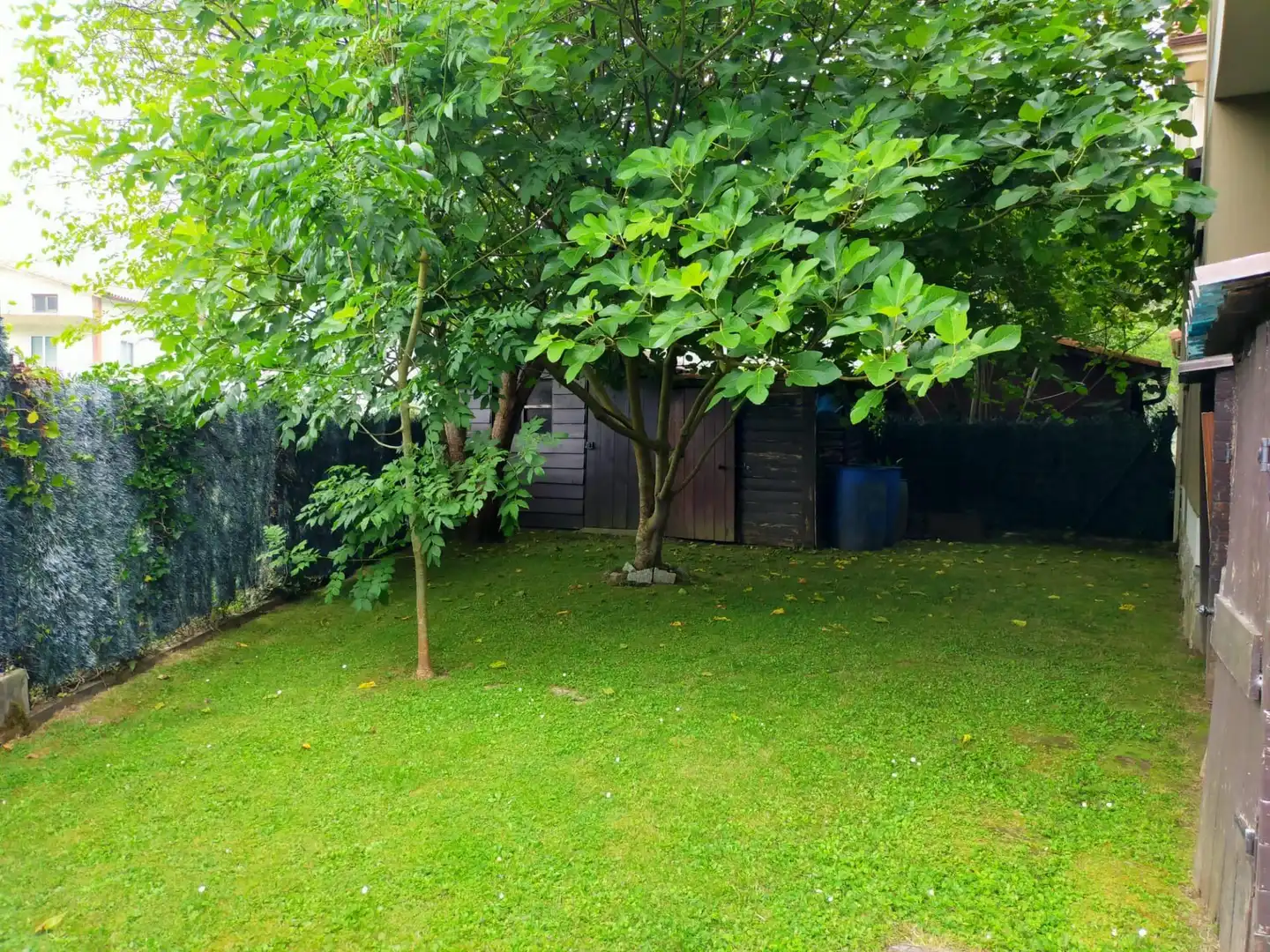 Houses for rent in Liendo