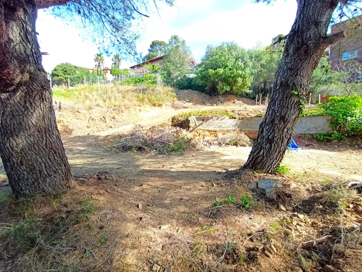 Terreny residencial en venda a Almoster, imagen 8