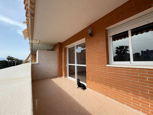 Piso en Alquiler en Albufereta
