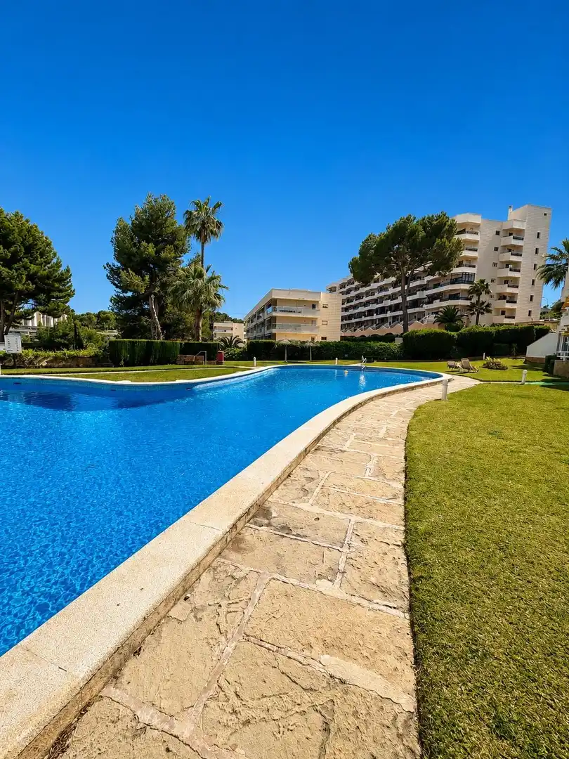 Piscina de Casa adosada en venda en Calvià amb Jardí privat, Terrassa i Piscina comunitària