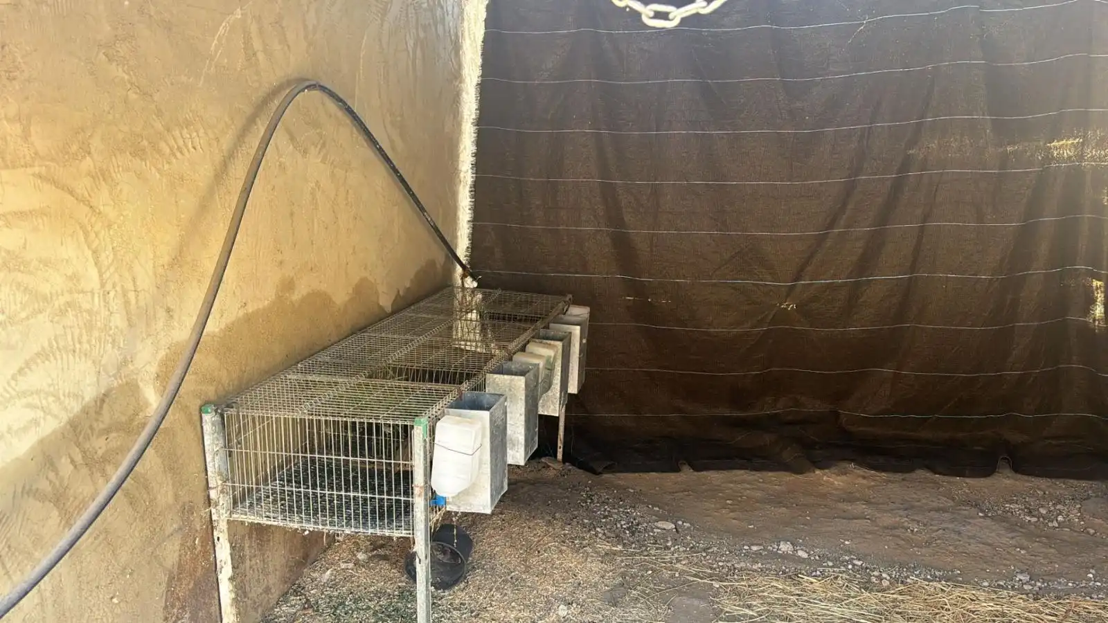 Terrenos y solares en venta en Pliego, imagen 4