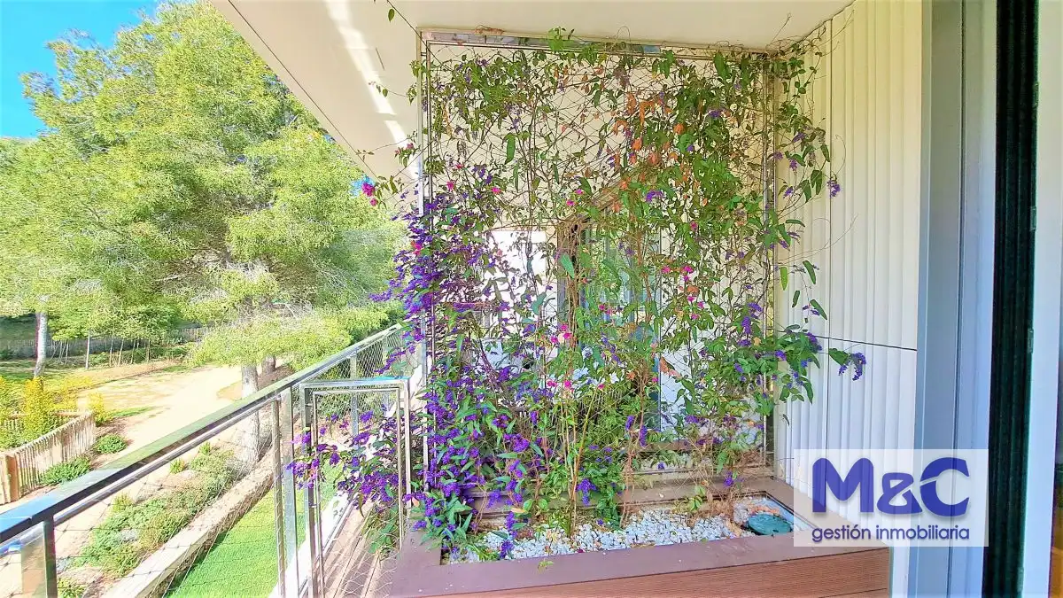 Apartamento con terraza en venta en Pla de Maset, imagen 24