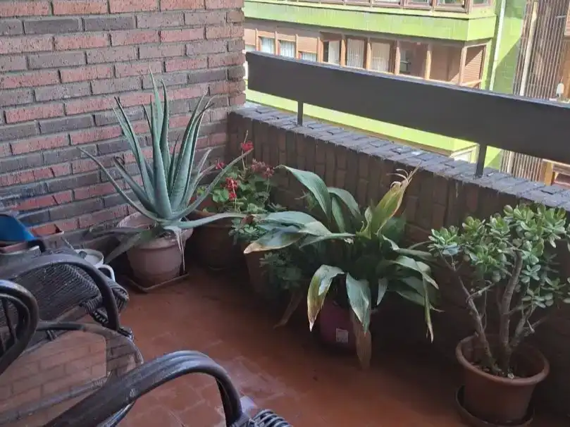 Terraza de Piso en venta en Getxo  con Balcón