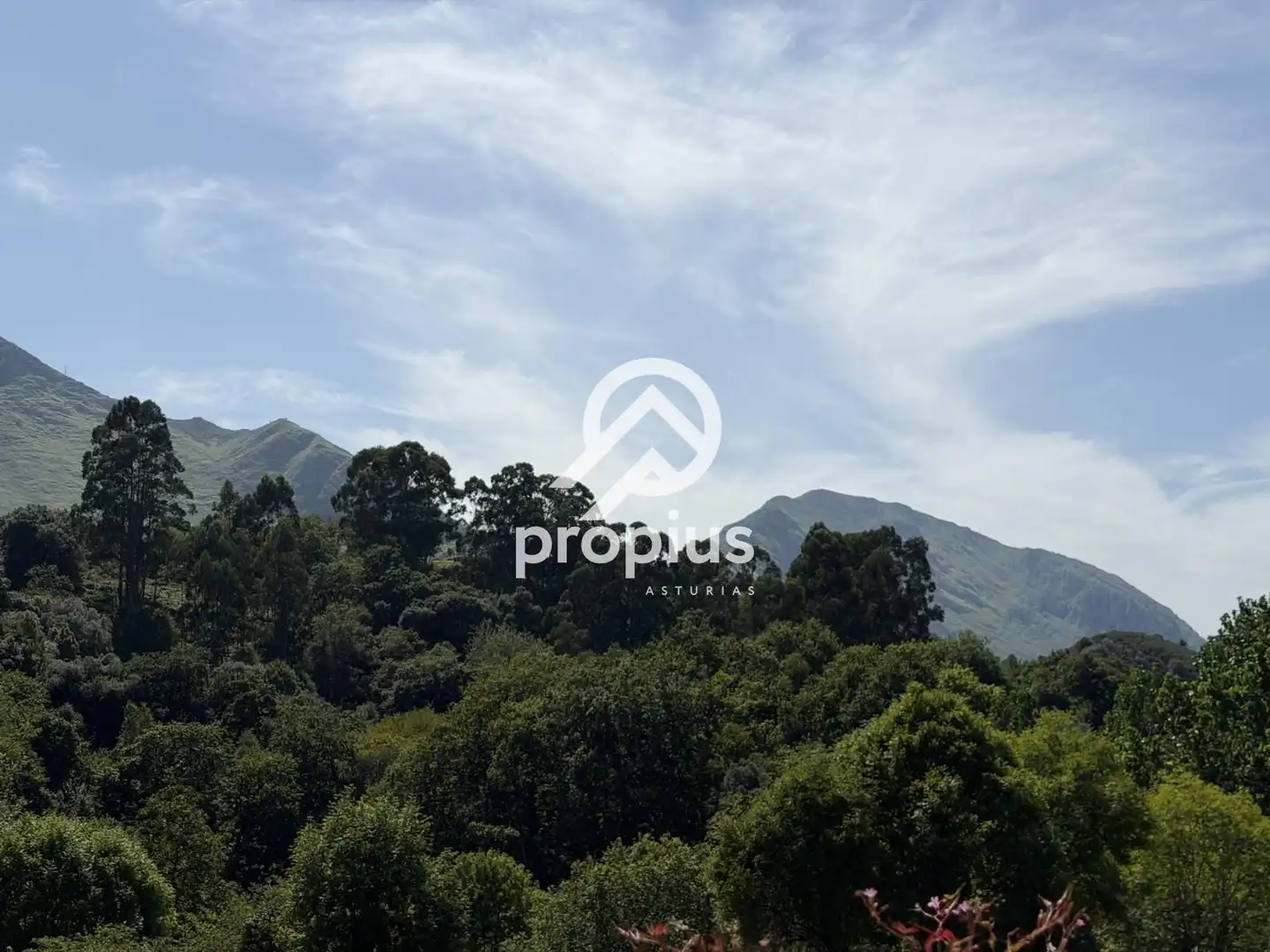 House for sale in Porrua, imagen 25
