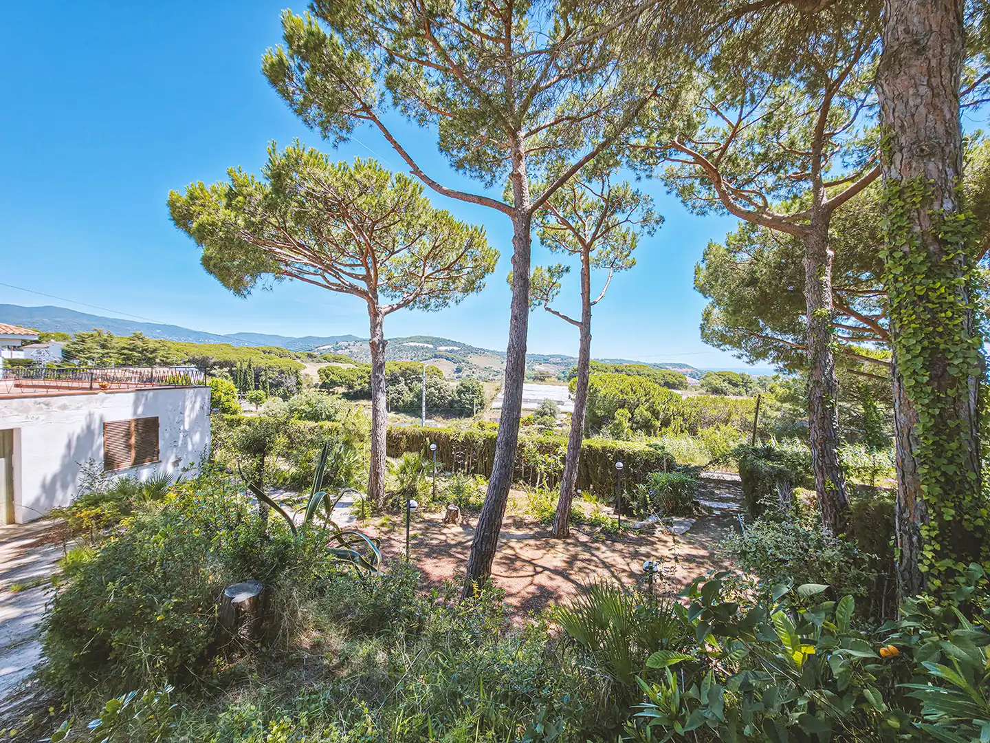 Jardí de Casa o xalet en venda en Sant Pol de Mar amb Calefacció, Jardí privat i Terrassa