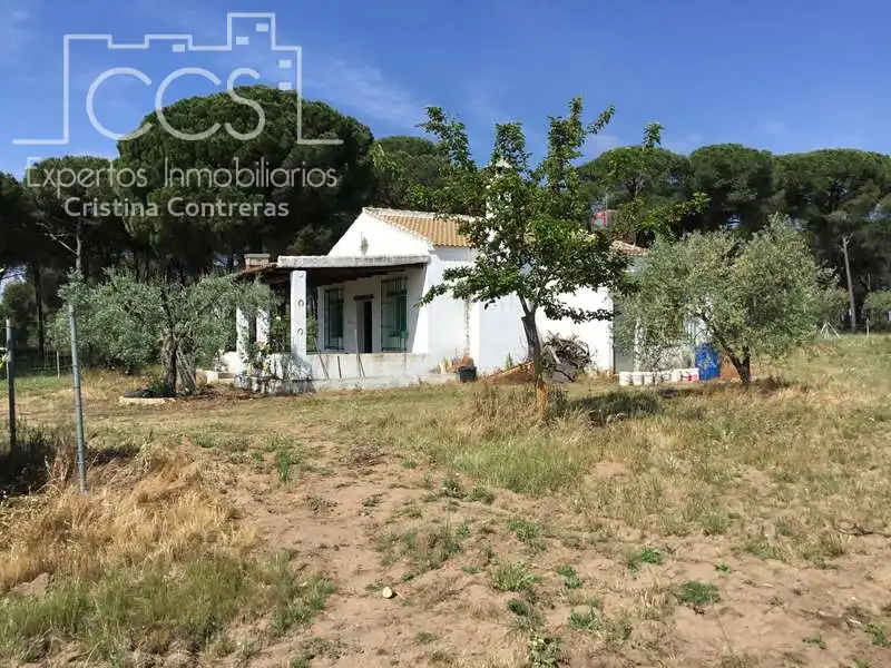 Vista exterior de Finca rústica en venda en Almonte amb Terrassa i Moblat