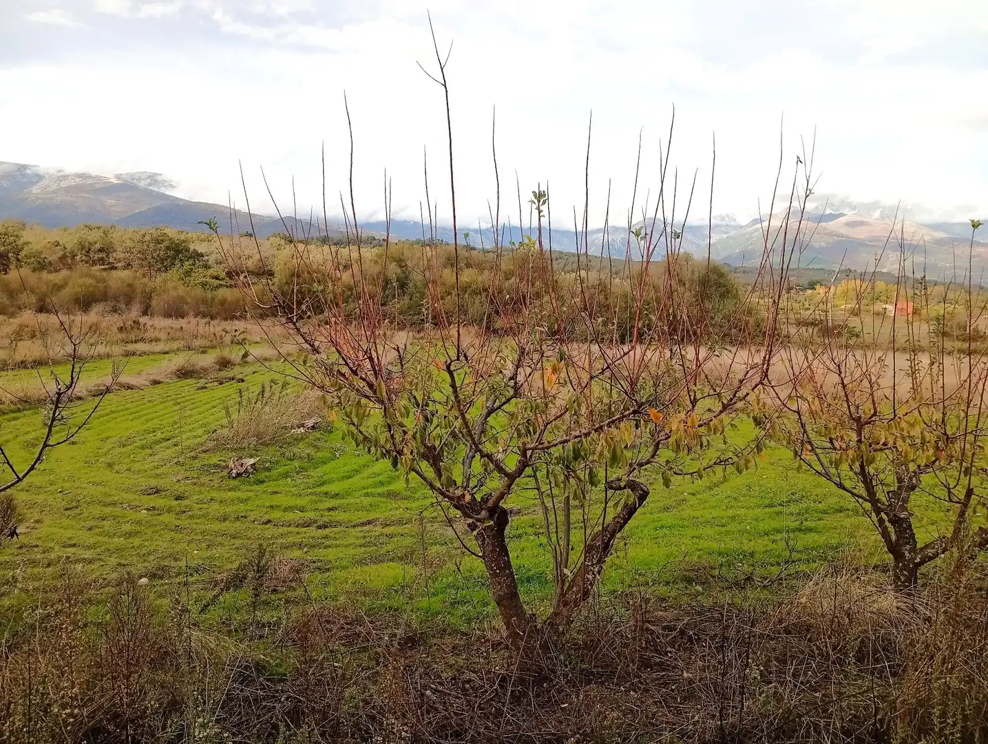 Terreni e lotti in vendita a Villanueva de la Vera, imagen 13