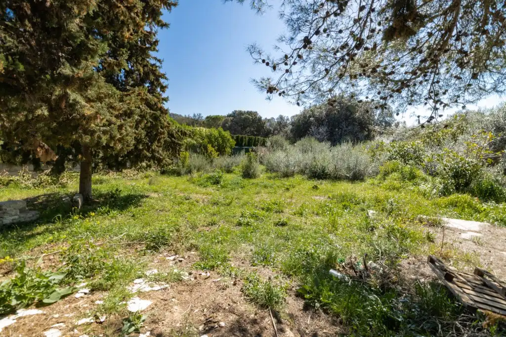 Rustikales Grundstück zum Verkauf in Port de Pollença, imagen 3