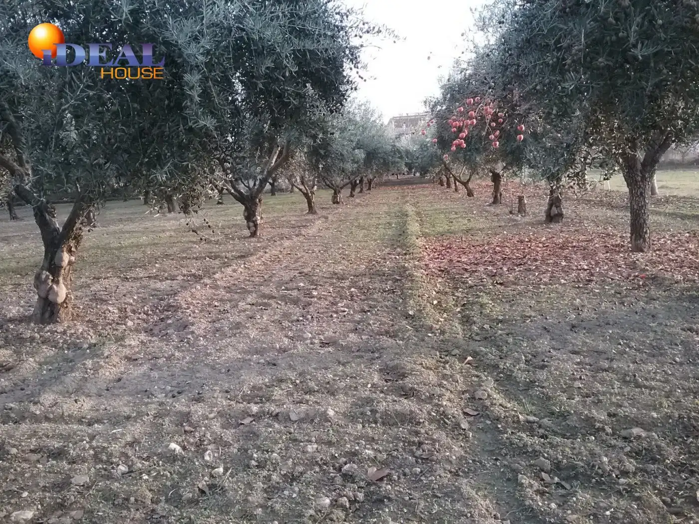 Finca rústica en venta en La Zubia Ciudad