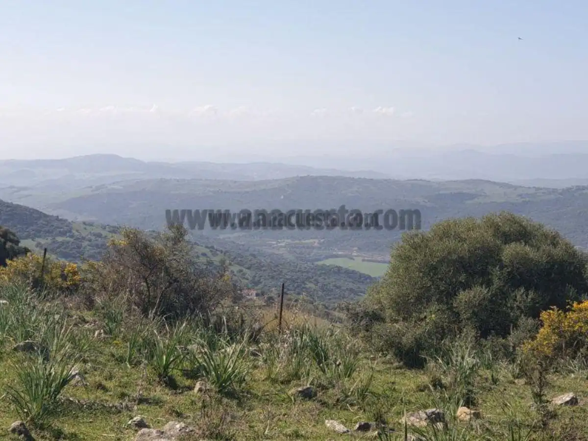 Residencial en venda a Casares, Málaga