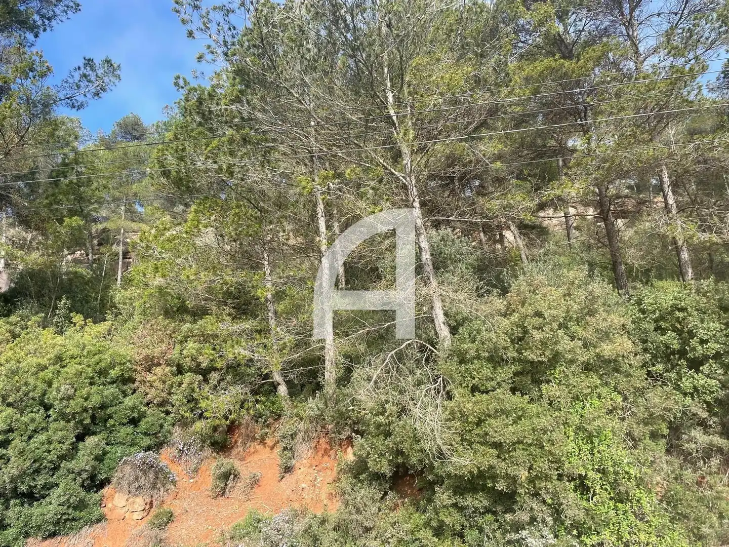 Rural land for sale in Ronda del Bosc, imagen 6