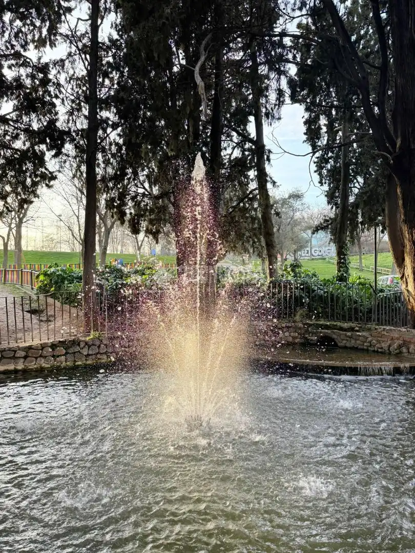 Jardín de Piso en venta en Madrid