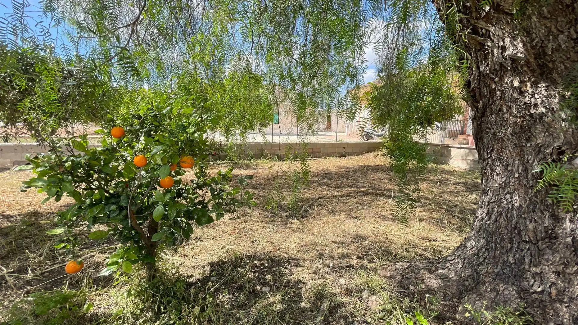 Finca rústica en venta en Fuente Álamo de Murcia con Amueblado