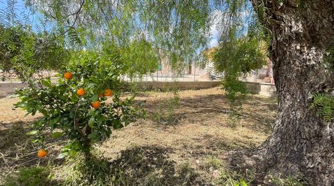 Foto 5 de Finca rústica en venta en La Pinilla - Las Palas, Fuente Álamo de Murcia