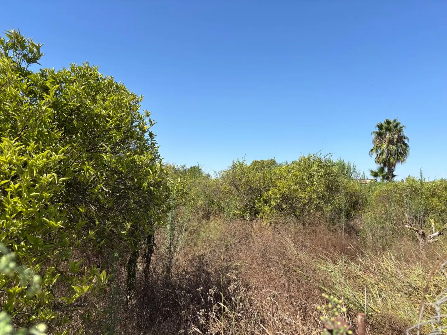 Residencial en venta en Centro