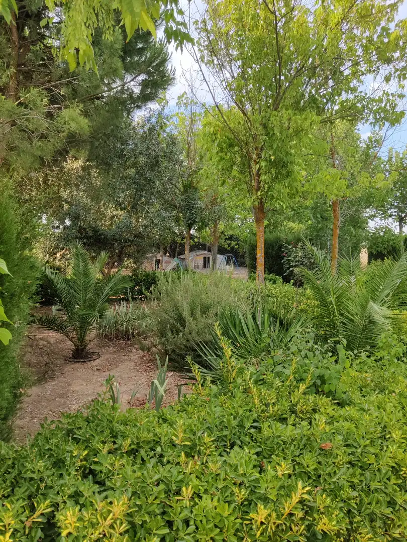 Chalet con piscina en venta en Fernán Caballero, imagen 11