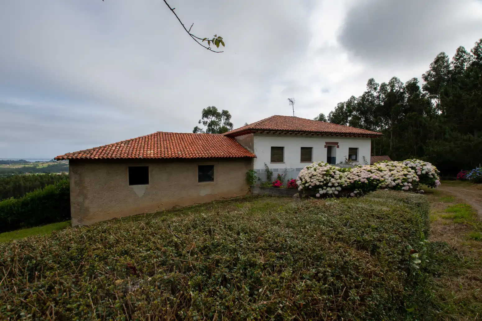 Exterior view of Houses for sale in Villaviciosa  with Private garden