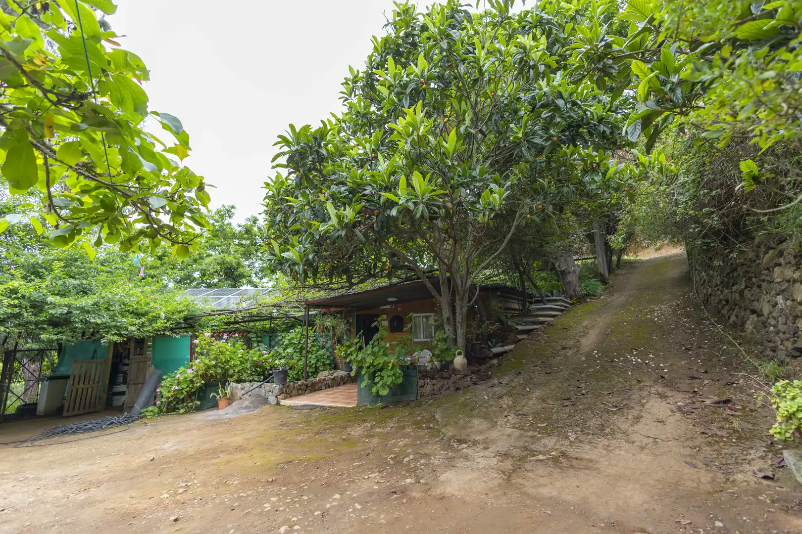 Vista exterior de Finca rústica en venta en San Juan de la Rambla con Aire acondicionado, Calefacción y Jardín privado