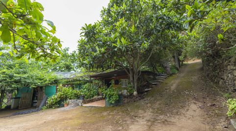 Foto 2 de Finca rústica en venta en Lomo Blanco, 22, San Juan de la Rambla, Santa Cruz de Tenerife