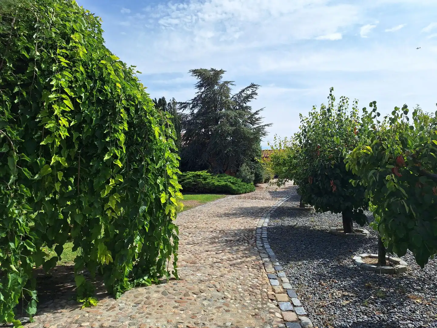 Jardín de Finca rústica en venta en Peñaranda de Bracamonte