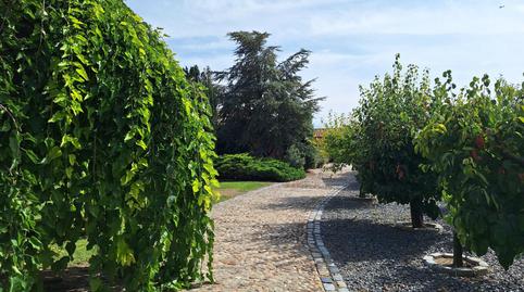 Foto 4 de Finca rústica en venda a Peñaranda de Bracamonte, Salamanca