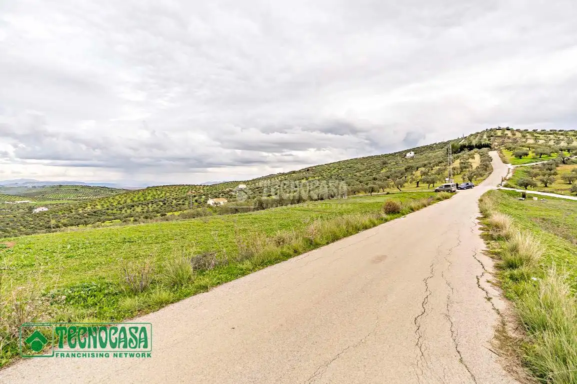 Rural land for sale in Alozaina, imagen 8