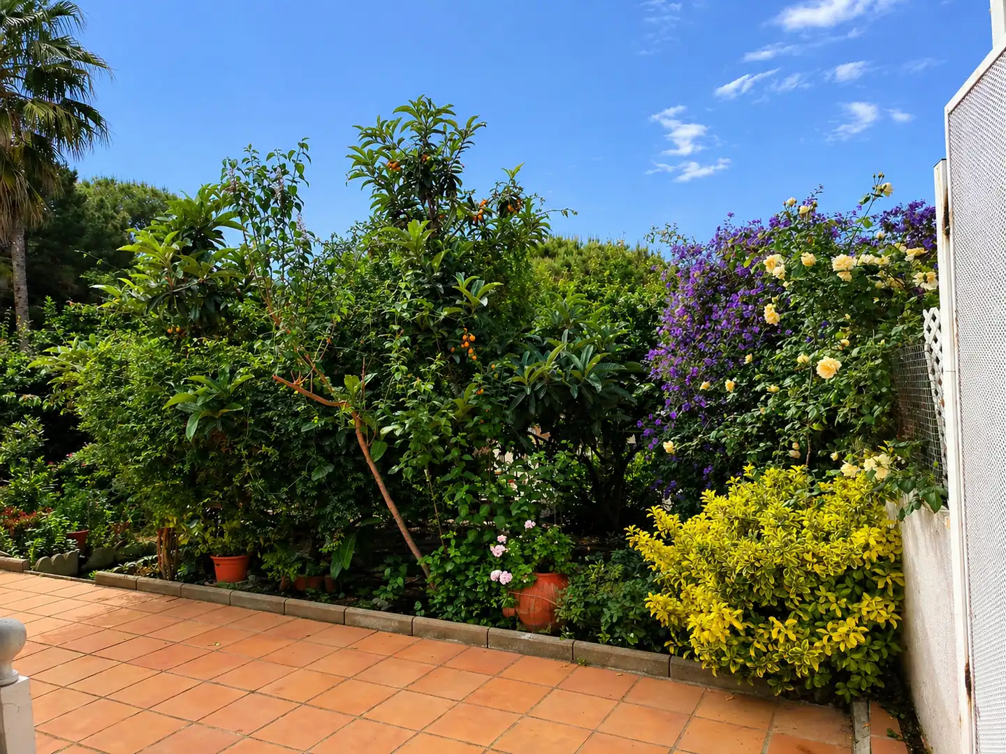 Garden of Houses for sale in Argentona  with Air Conditioner, Heating and Private garden