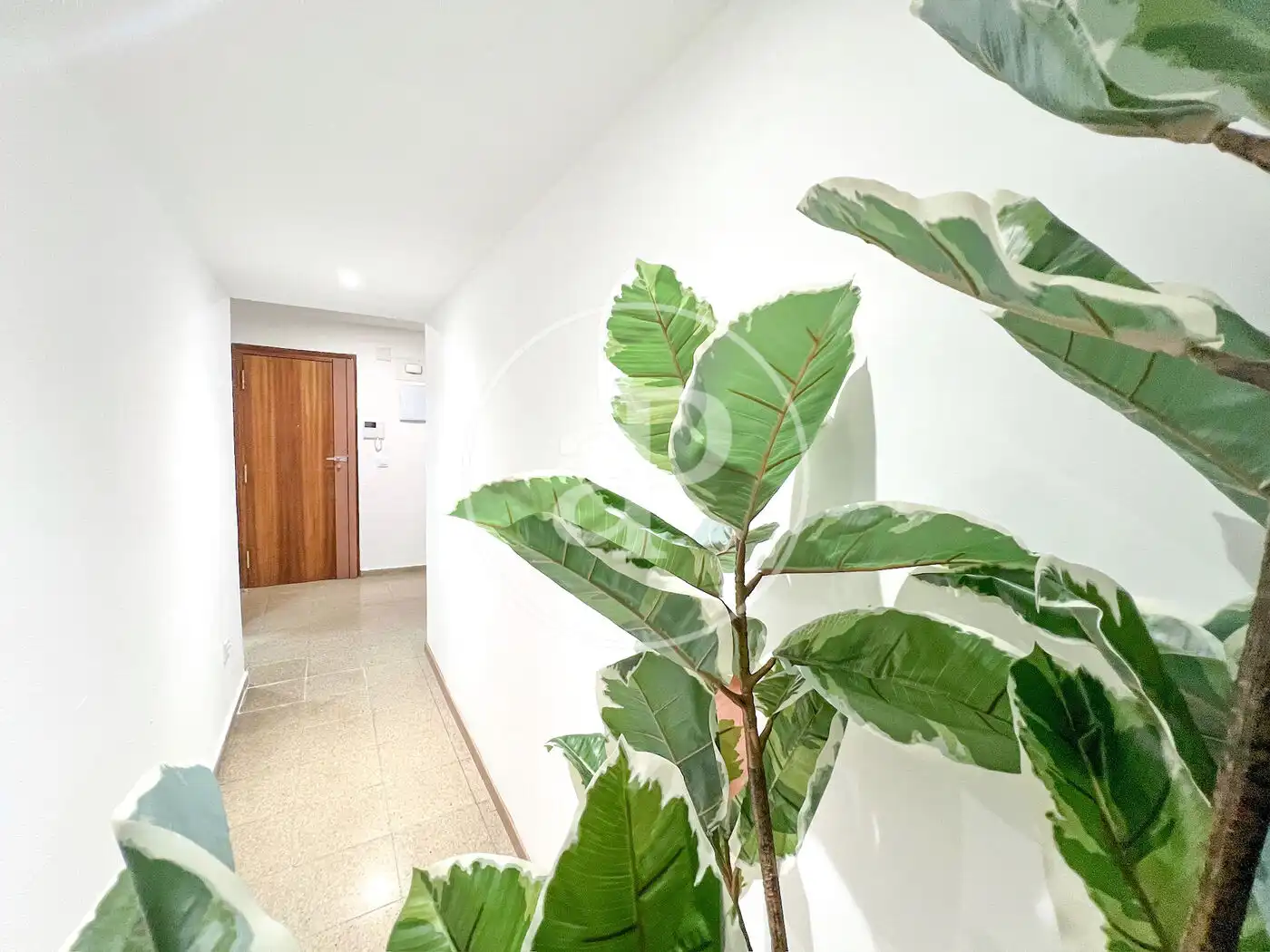 Piso en venta en Av. del Primat Reig, Trinitat